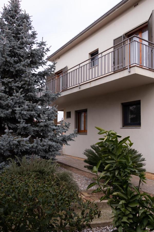 Patllari * Banyoles